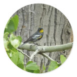 Audubon's Warbler Nature Photography Classic Round Sticker