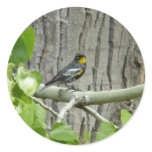 Audubon's Warbler Nature Photography Classic Round Sticker