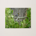 Audubon's Warbler Nature Photography Jigsaw Puzzle