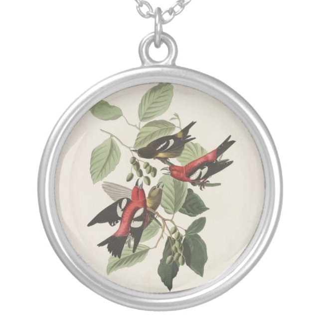 Audubon's White-winged Crossbill Silver Plated Necklace (Front)