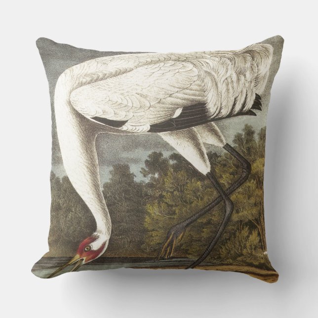 Audubon's Whooping Crane Throw Pillow (Front)