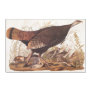 Audubon's Wild Turkey Hen and Chicks Vintage Art