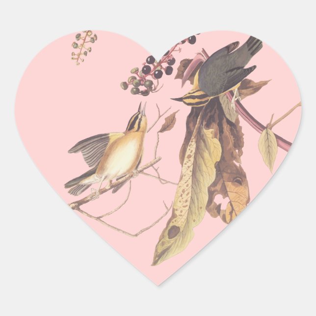 Audubon's Worm Eating Warbler Heart Sticker (Front)