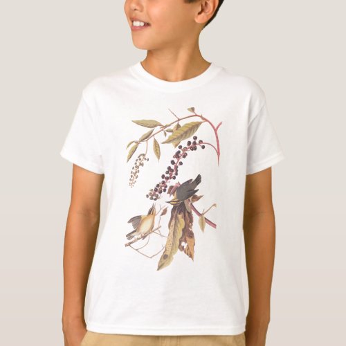 Audubons Worm Eating Warbler T_Shirt