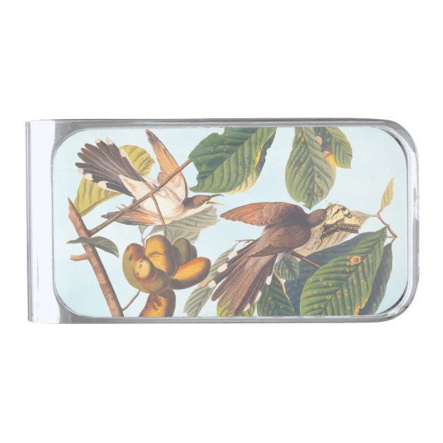Audubon's Yellow-Billed Cuckoo Birds in Fruit Tree Silver Finish Money Clip (Front)