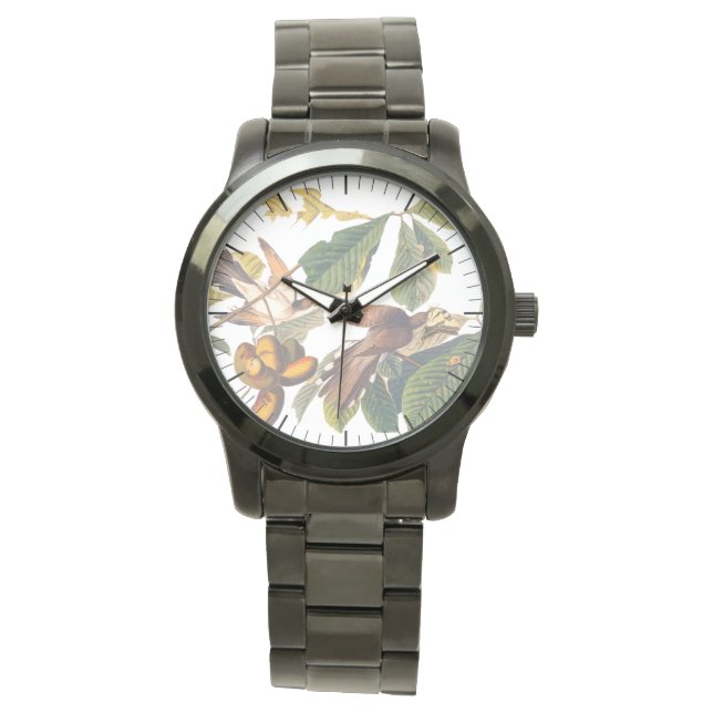 Audubon's Yellow-Billed Cuckoo Birds in Fruit Tree Watch (Front)