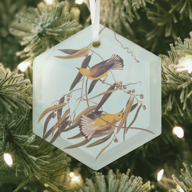 Audubon's Yellow Prothonotary Warbler Bird Glass Ornament (Insitu)