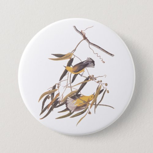 Audubons Yellow Prothonotary Warbler Bird Pair Button