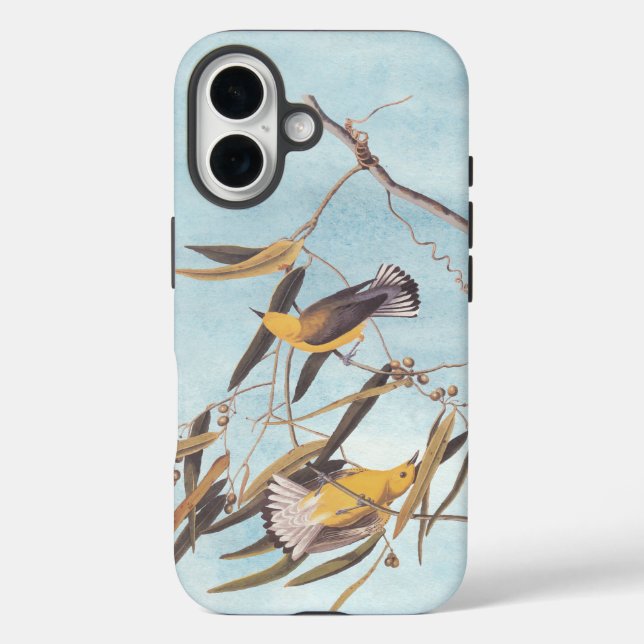 Audubon's Yellow Prothonotary Warbler Bird Pair Case-Mate iPhone Case (Back)
