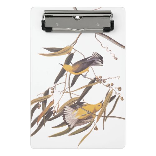 Audubons Yellow Prothonotary Warbler Bird Pair Cl Mini Clipboard