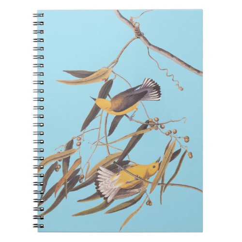 Audubons Yellow Prothonotary Warbler Bird Pair Notebook