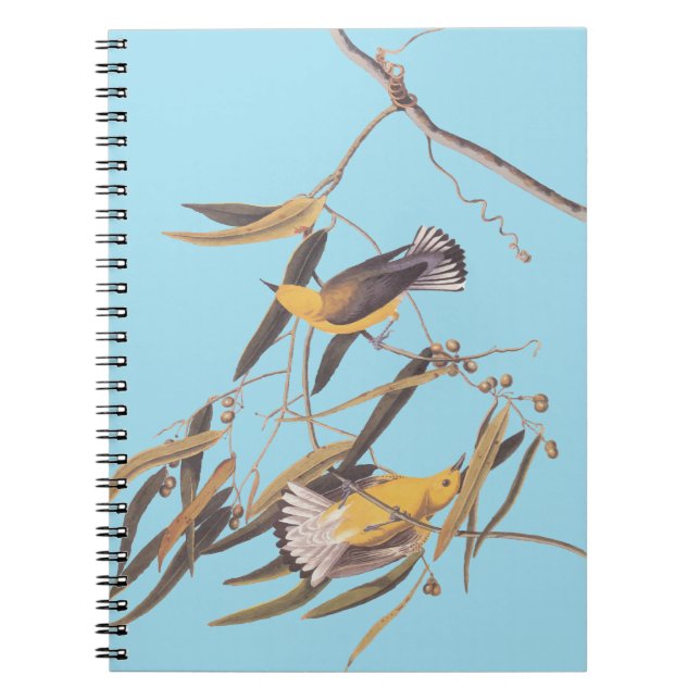 Audubon's Yellow Prothonotary Warbler Bird Pair Notebook (Front)