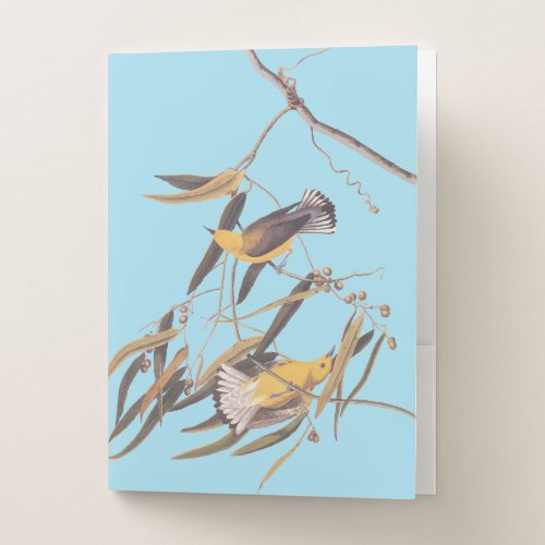 Audubons Yellow Prothonotary Warbler Bird Pair Pocket Folder