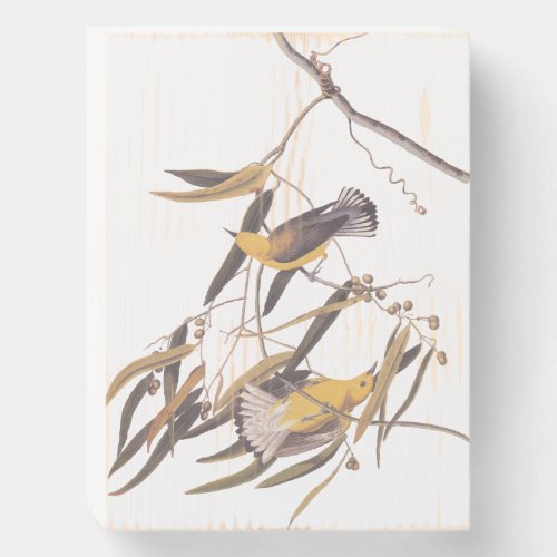 Audubons Yellow Prothonotary Warbler Bird Pair Wooden Box Sign