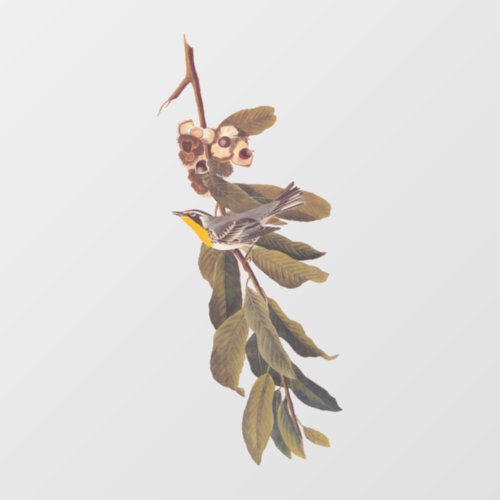 Audubons Yellowthroat Warbler Bird on Tree Branch Window Cling