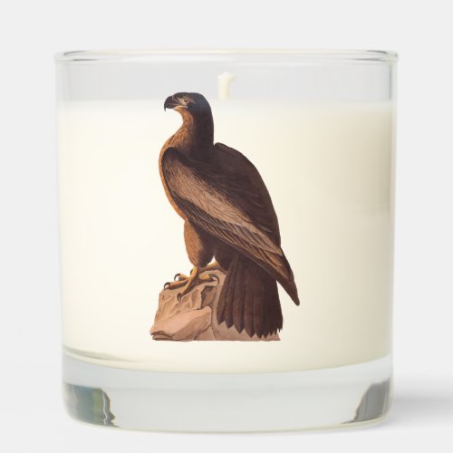 Audubons Young Bald Eagle on Brown Rock Scented Candle