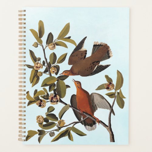 Audubons Zenaida Dove Birds on Tree Branch Planner