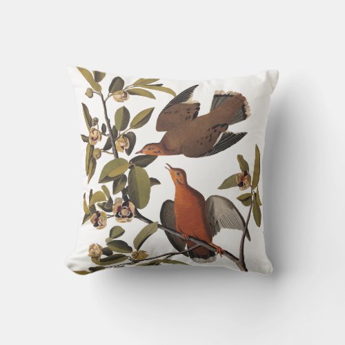 Audubons Zenaida Dove Birds on Tree Branch Throw Pillow