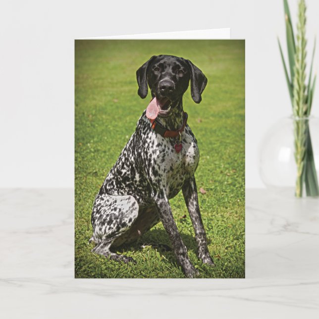 Augie thank you card (Front)