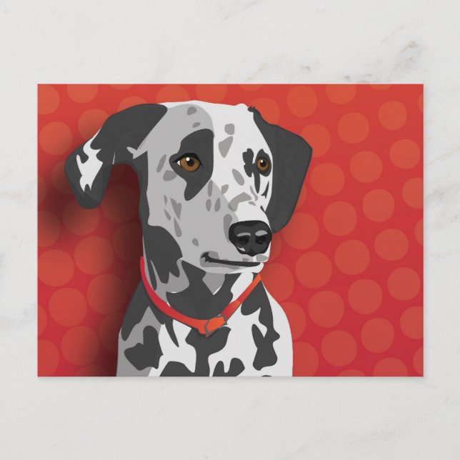 Augie the Dalmatian Postcard (Front)