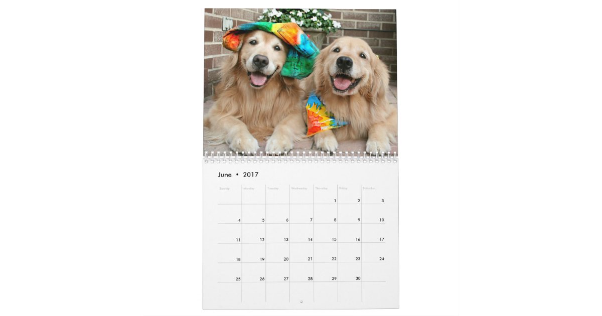 Image result for golden retriever calendar