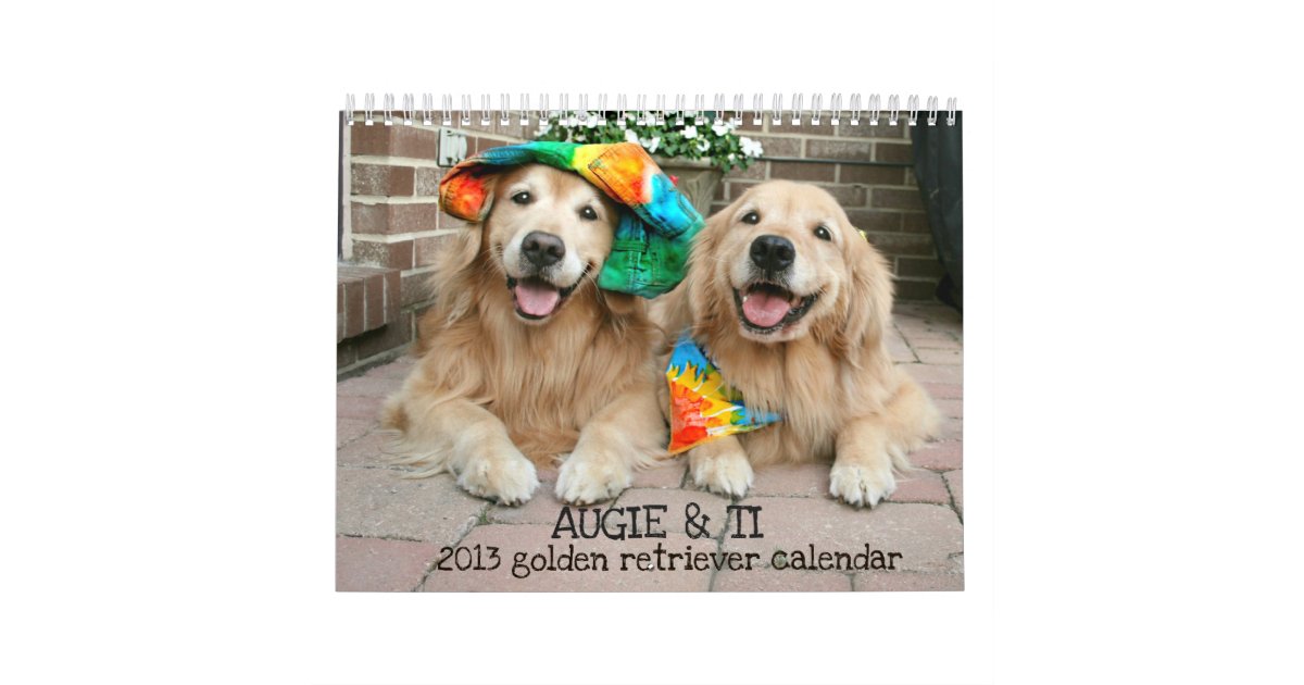 Augie Ti S 2013 Golden Retriever Calendar Zazzle Com