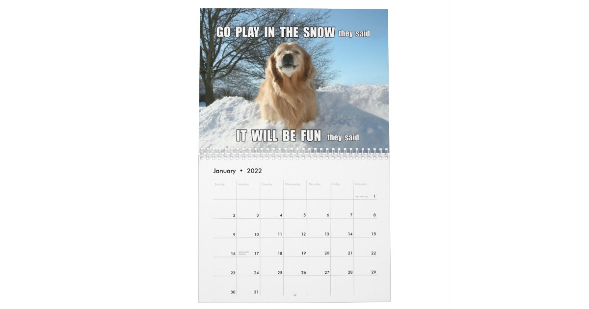 Augie Ti S Jokes And Memes 2015 Golden Retriever Calendar Zazzle Com