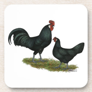 Augsberger Chickens Drink Coaster
