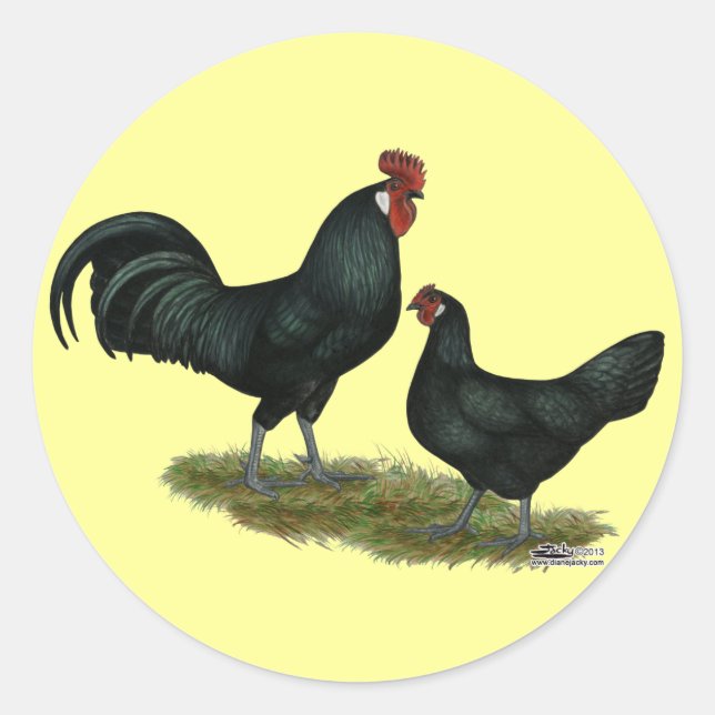 Augsburger Chickens Classic Round Sticker (Front)