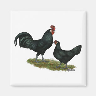 Augsburger Chickens Magnet
