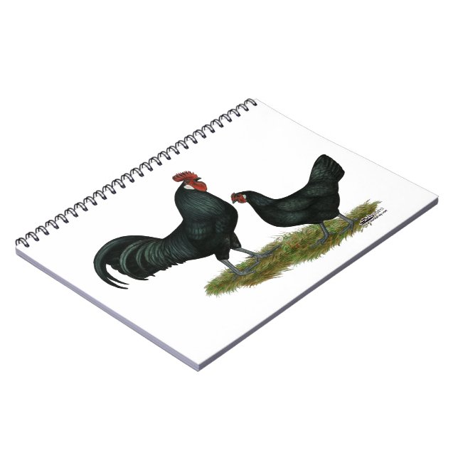 Augsburger Chickens Notebook (Left Side)