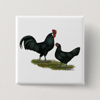 Augsburger Chickens Pinback Button