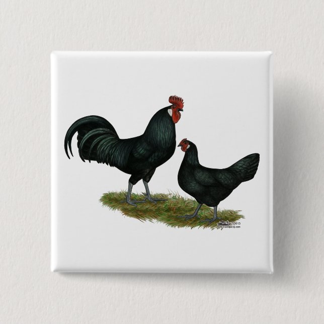 Augsburger Chickens Pinback Button (Front)