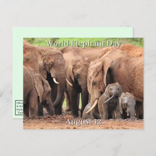August 12 - World Elephant Day Holiday Postcard