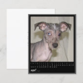 august 2012 calendar (Front/Back)