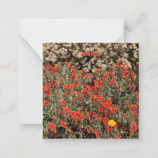 August Ablaze Note Card (Front)