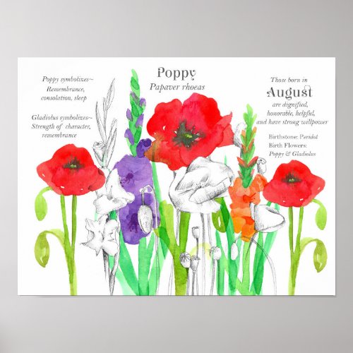 August Birthday Poppies Gladiolus Birth Flower Poster