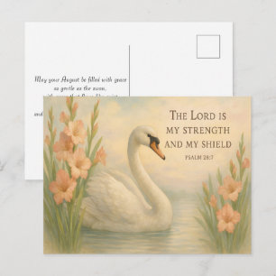 August Elegant Swans Christian Inspirational Postcard