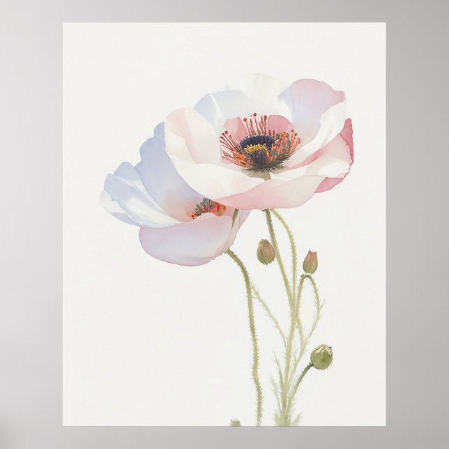 August Poppy Birth Flower Poster (Front)