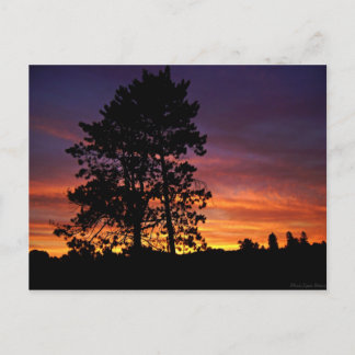 August Sunrise Postcard