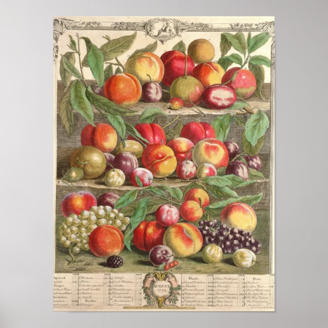 August, 'Twelve Months of Fruits' Poster (Front)
