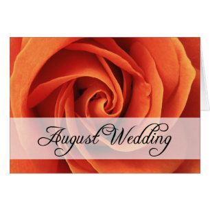 August Wedding : rose of the season : Cards