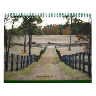 augustaimages 2015 calendar