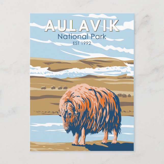 Aulavik National Park Canada Musk Ox Vintage Postcard (Front)