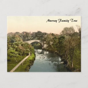 Auld Brig O'Doon, Ayrshire, Scotland Postcard