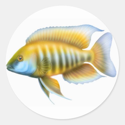 Aulonocara African Peacock Cichlid Classic Round Sticker