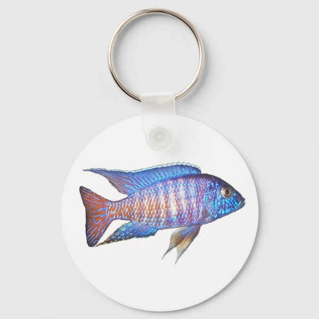 Aulonocara peacock keychain (Front)