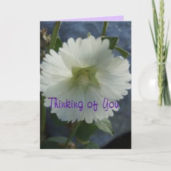 Aunt Darl's White Hollyhock-customize Any Occasiom Card by MakaraPhotos at Zazzle