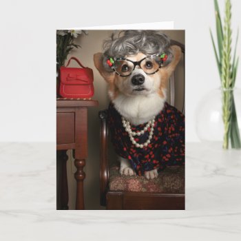 Aunt Gussy Corgi Get Well Card by BumblesandDawgins at Zazzle