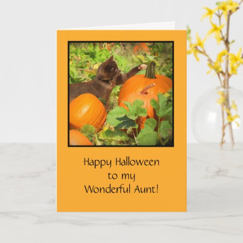 Aunt Happy Halloween with Cute Kitten and Pumpkins Card